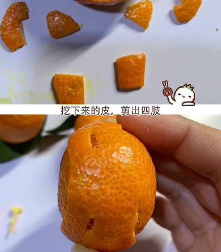 冰墩墩用橘子皮怎么做5