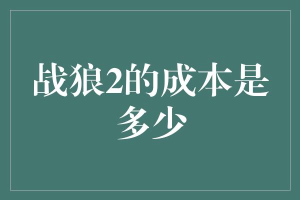 战狼2成本图片